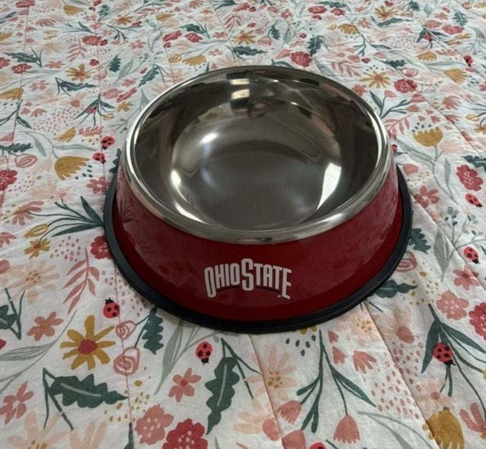 OSU DOG BOWL ~ Ohio State University ~ Stainless 10 Inch for Food/ Snacks Treats